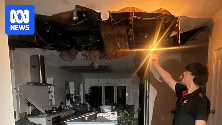 Storm with 119km/h Wind Gusts Causes Damage to Homes, Trees, and Powerlines in Port Pirie