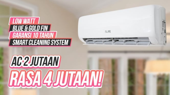 Cheap 1/2 PK AC for Only $130, Self-Cleaning Feature & 10-Year Warranty Revealed!