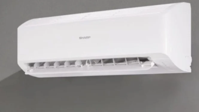 Which Half PK Inverter AC Saves More Energy and Offers Better Cooling: LG Dual or SHARP?