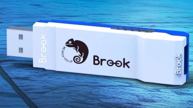 Experience Smoother Gameplay: Brook Wingman FGC VX Set to Debut Locally Soon