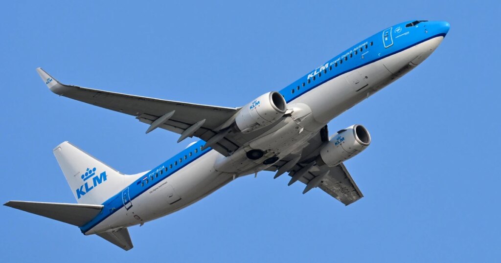 Family Files Lawsuit Against Delta and KLM After Bedbug Attack During Flight