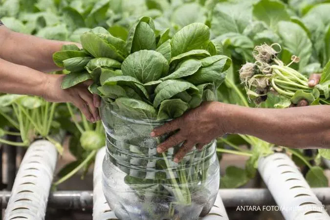 6 Best Frozen Vegetables for Freshness, According to Nutrition Experts — Don’t Buy the Wrong Ones