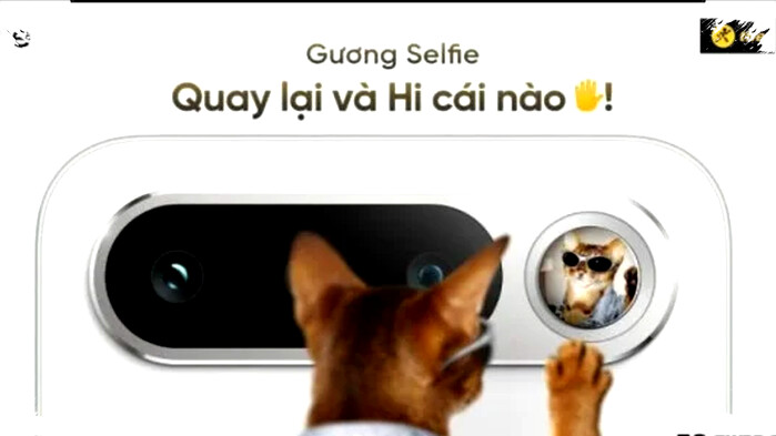 Realme 16 Leak Reveals Pixel-Style Camera Design with Unique Rear “Selfie Mirror” Panel