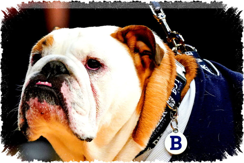 Georgetown vs. Butler Live Stream: How to Watch Free, TV Info, Start Time & Betting Odds for This Big East Showdown