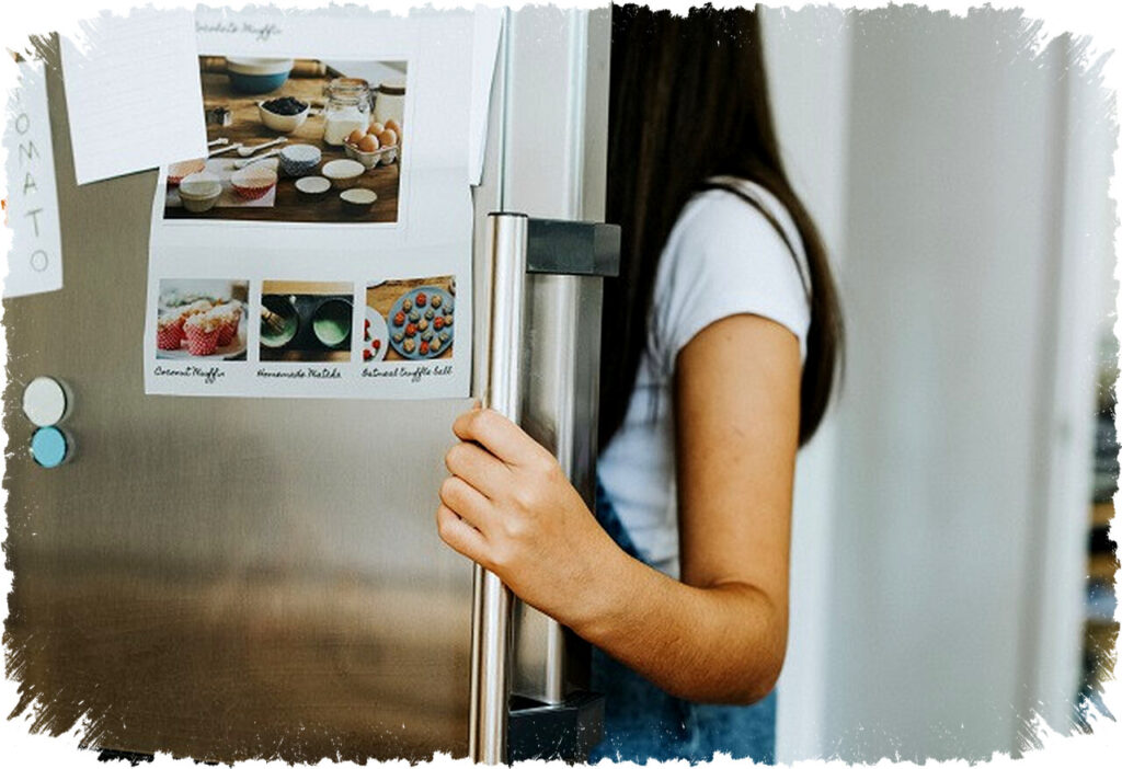Latest 2026 Hitachi Two-Door Refrigerator Models: Features, Capacities & Price Guide for Smart Buyers