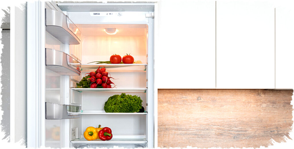 Best Single-Door Refrigerators 2026: Top Energy-Saving Models for Daily Use and Small Spaces