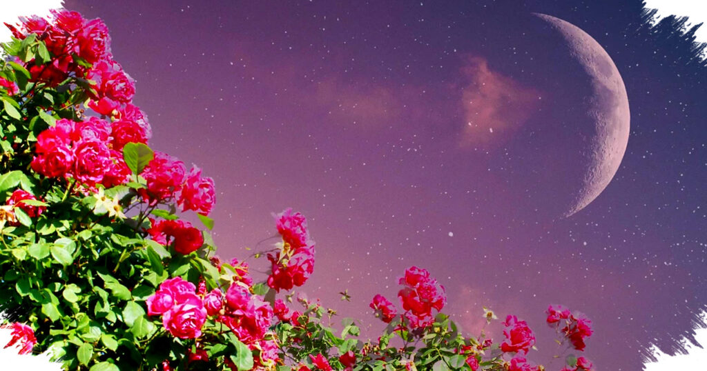 The 4 Luckiest Zodiac Signs Under March’s New Moon in Pisces, Powerful Shifts Ignite Their Paths to Success