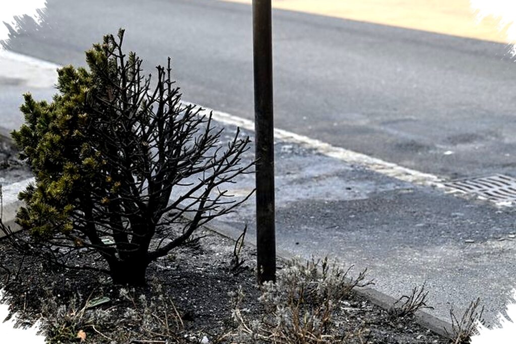 Swiss Bus Blaze Claims Six Lives After Man Suspected of Self-Immolation, Triggers Grim Investigation and Community Shock