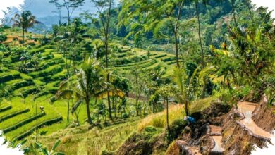 10 Cinematic Photo Spots in Central Java, Best Times and Viral Content Tips 2026