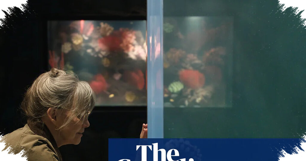 Sally Field Anchors A Tender Octopus Drama, Netflix’s Gentle Charmer Finds Heart In Grief