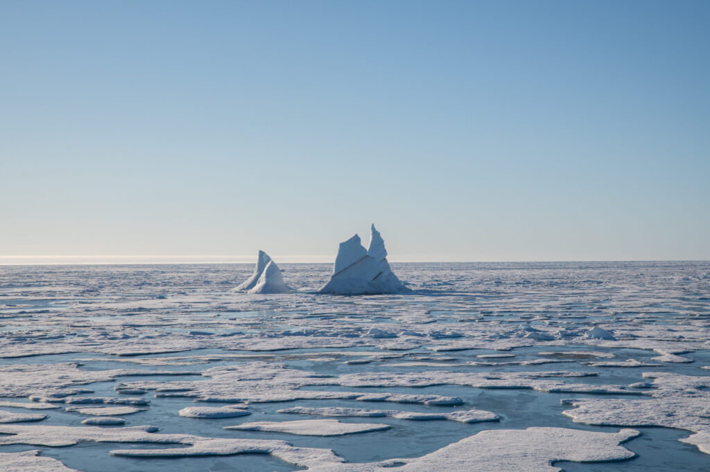 Arctic Ocean Hits An Irreversible Chemical Tipping Point, Sea Ice Loss Is Starving The Food Web