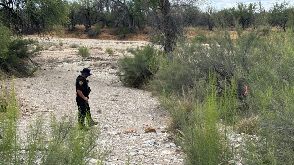 Prehistoric Remains Found Near Nancy Guthrie Search, But The Desert Hides A Far Older Truth