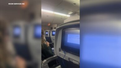 Newark Flight Turns Back Midair, Passenger’s “Bomb” Bluetooth Name Triggers Arrest Threat
