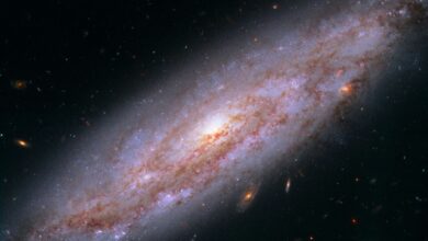 M88’s Elegant Spiral Could Not Last, A Close Encounter May Strip Away Its Star-Making Gas