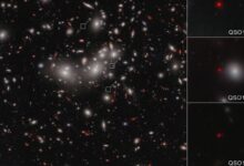 James Webb Data Suggest A Supermassive Black Hole May Have Formed Before Its Galaxy