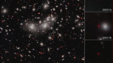 James Webb Data Suggest A Supermassive Black Hole May Have Formed Before Its Galaxy