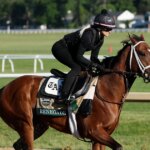 Belmont Stakes 2026 Horses Revealed, Golden Tempo And Renegade Set Up A Saratoga Rematch