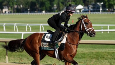 Belmont Stakes 2026 Horses Revealed, Golden Tempo And Renegade Set Up A Saratoga Rematch