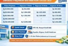 BRI Non-KUR Loans Offer Bigger Limits, But The Right Installment Estimate Matters Most