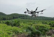 In Riau’s Palm Oil Estates, DJI Agras T40 Turns Hours of Work Into 30 Minutes
