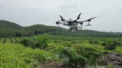 In Riau’s Palm Oil Estates, DJI Agras T40 Turns Hours of Work Into 30 Minutes