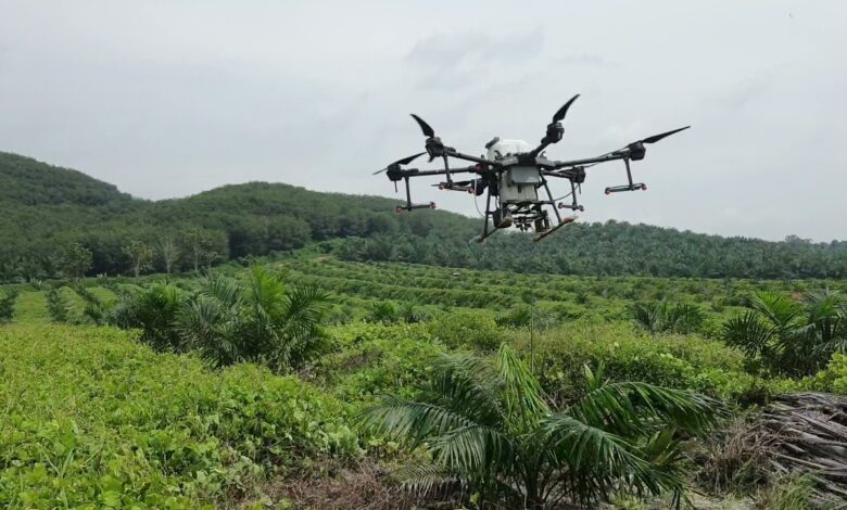 In Riau’s Palm Oil Estates, DJI Agras T40 Turns Hours of Work Into 30 Minutes