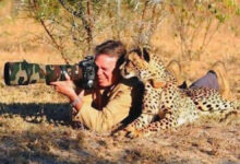 Gemini AI Turns Ordinary Photos Into Realistic Wildlife Photographer Portraits