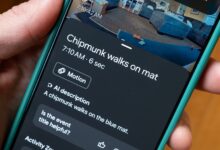 Google Home Gets More Personal, Pet Names Now Appear In Camera Alerts