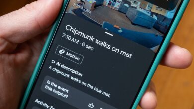 Google Home Gets More Personal, Pet Names Now Appear In Camera Alerts