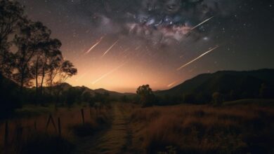 A Brief Window Before Dawn, Best Time to Catch the Arietid Meteor Shower