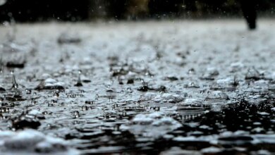 Tuesday Brings Downpours And Wind To Southeast Michigan, Heat, Humidity, And More Storms Follow