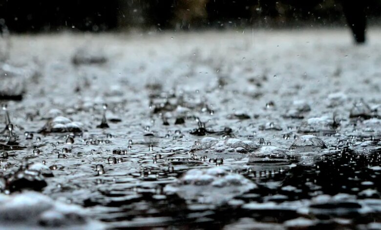 Tuesday Brings Downpours And Wind To Southeast Michigan, Heat, Humidity, And More Storms Follow