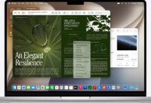 macOS 27 Golden Gate Is Open For Developers, But The Safest Release Still Waits