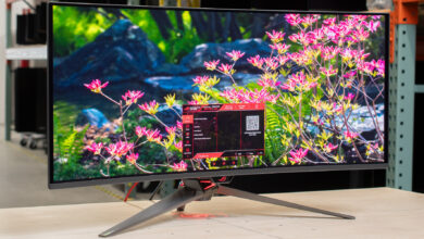Asus’ 34-Inch OLED Monitor Arrives With 360Hz And Sharper Text