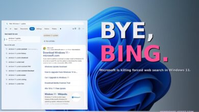 Windows 11 May Finally Let Users Turn Off Bing, A Cleaner Search Experience Looms