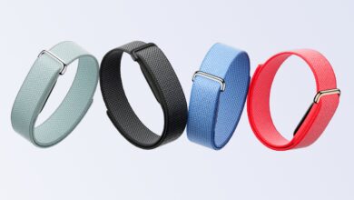 Google Opens Fitbit Air Band Designs, 3D Printing Fans Can Now Build Their Own