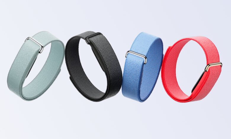 Google Opens Fitbit Air Band Designs, 3D Printing Fans Can Now Build Their Own
