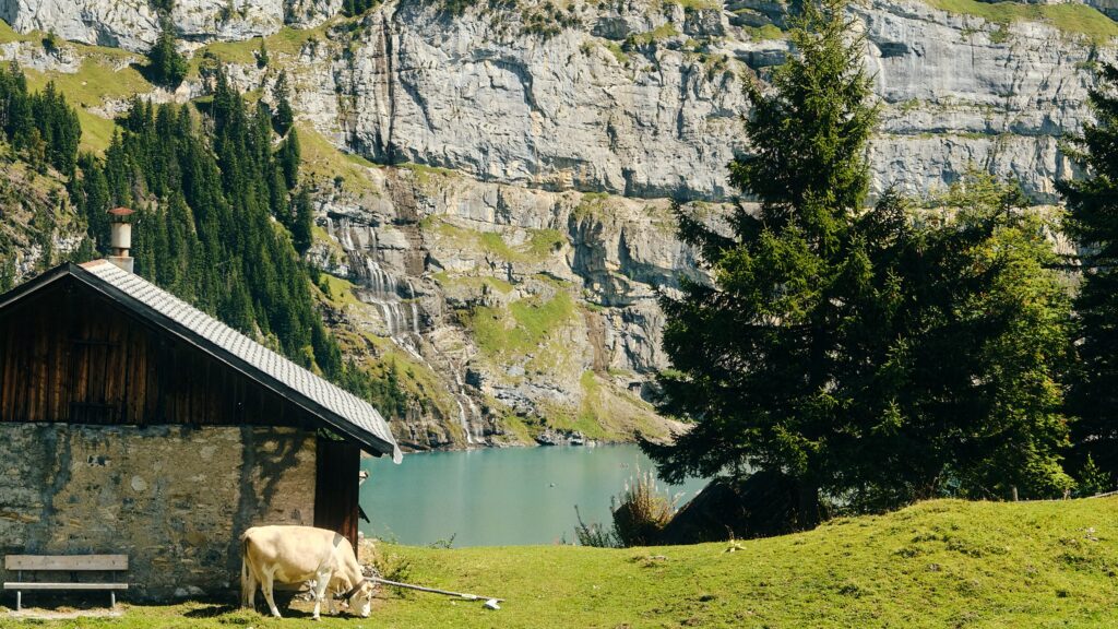 6 Gemini AI Prompts That Turn Photos Into a Swiss Countryside Escape
