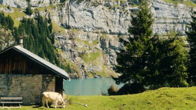 6 Gemini AI Prompts That Turn Photos Into a Swiss Countryside Escape