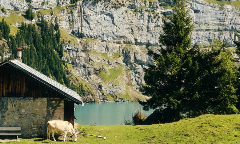 6 Gemini AI Prompts That Turn Photos Into a Swiss Countryside Escape