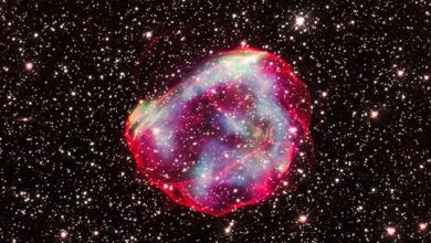Chandra Finds a Bright Mystery in the Milky Way, Supernova Remnant or Star Cluster