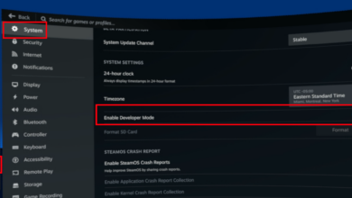 Steam Frame Shipment Reaches Valve’s Warehouse, A Possible Launch Window Tightens
