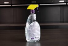 Simple Kitchen Ingredients Can Clear Car Windshield Molds Without a Workshop Visit