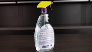 Simple Kitchen Ingredients Can Clear Car Windshield Molds Without a Workshop Visit