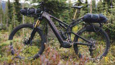 Specialized Levo 4 X Brings 840 Wh Power and Heavy-Duty Cargo to E-MTB