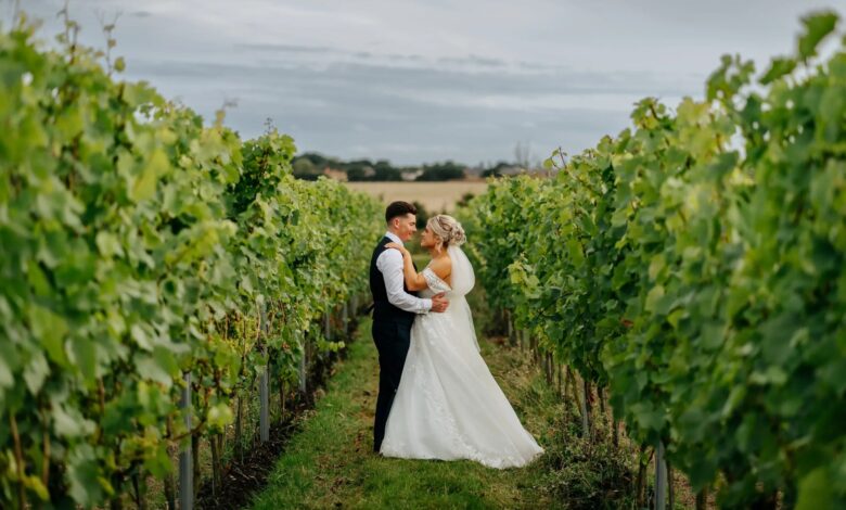 Gemini AI Turns Vineyard Photos Into Cinematic Portraits Without Looking Fake