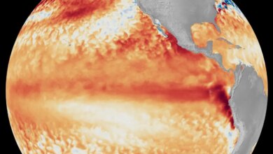 El Niño Is Back, And It Could Shape Weather Across The U.S. This Year