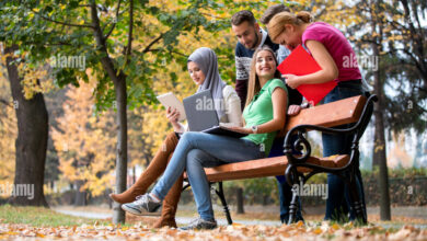 Why Young Users Are Choosing Tablets Over Laptops, Mobility, AI, and Battery Life Lead the Shift