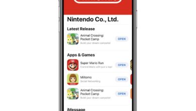 Nintendo Today in India, the strongest sign yet that an official launch may be nearing