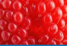 6 Gemini AI Prompts for Raspberry Garden Photos, Natural Yet Cinematic Results